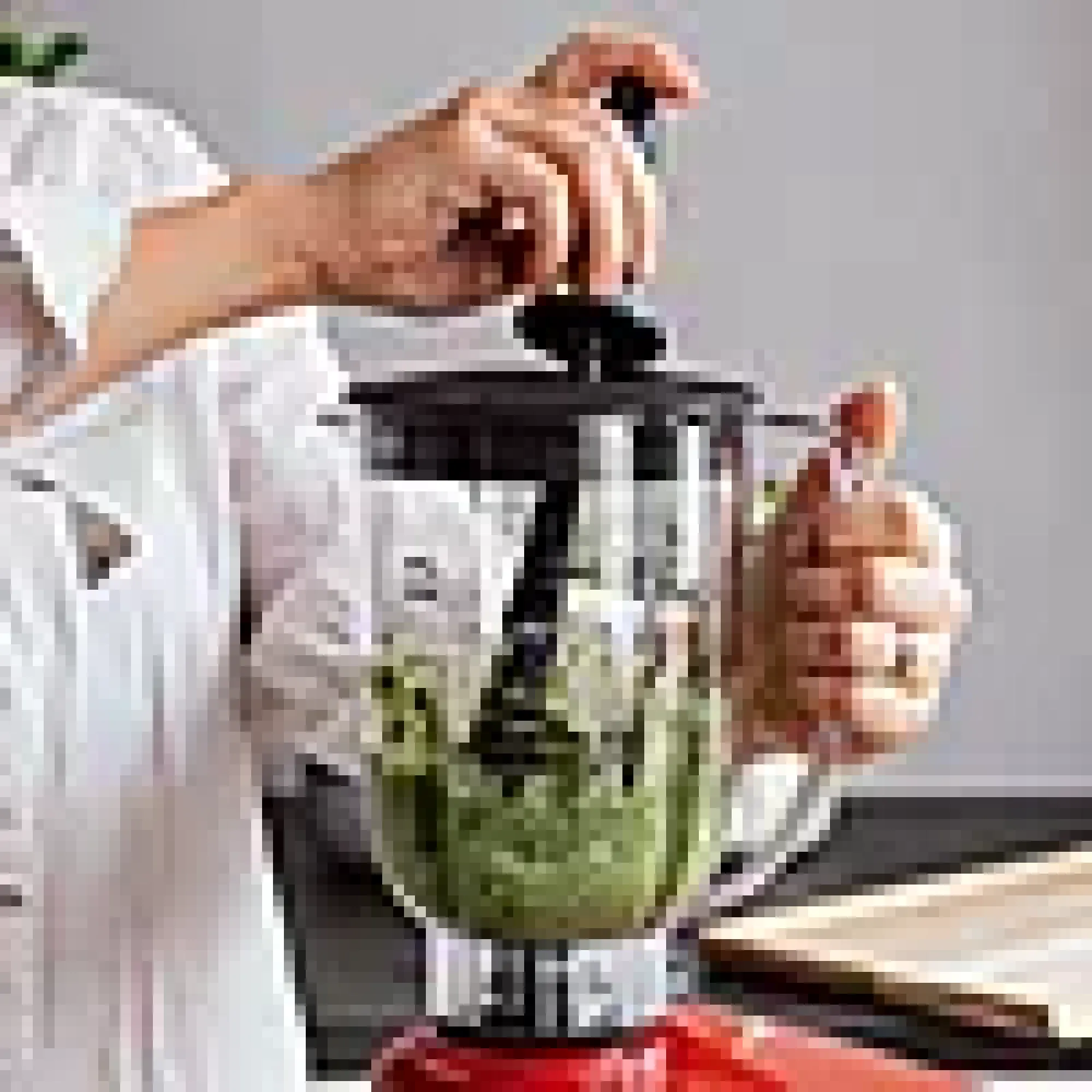 blender-Ankarsrum Discount
