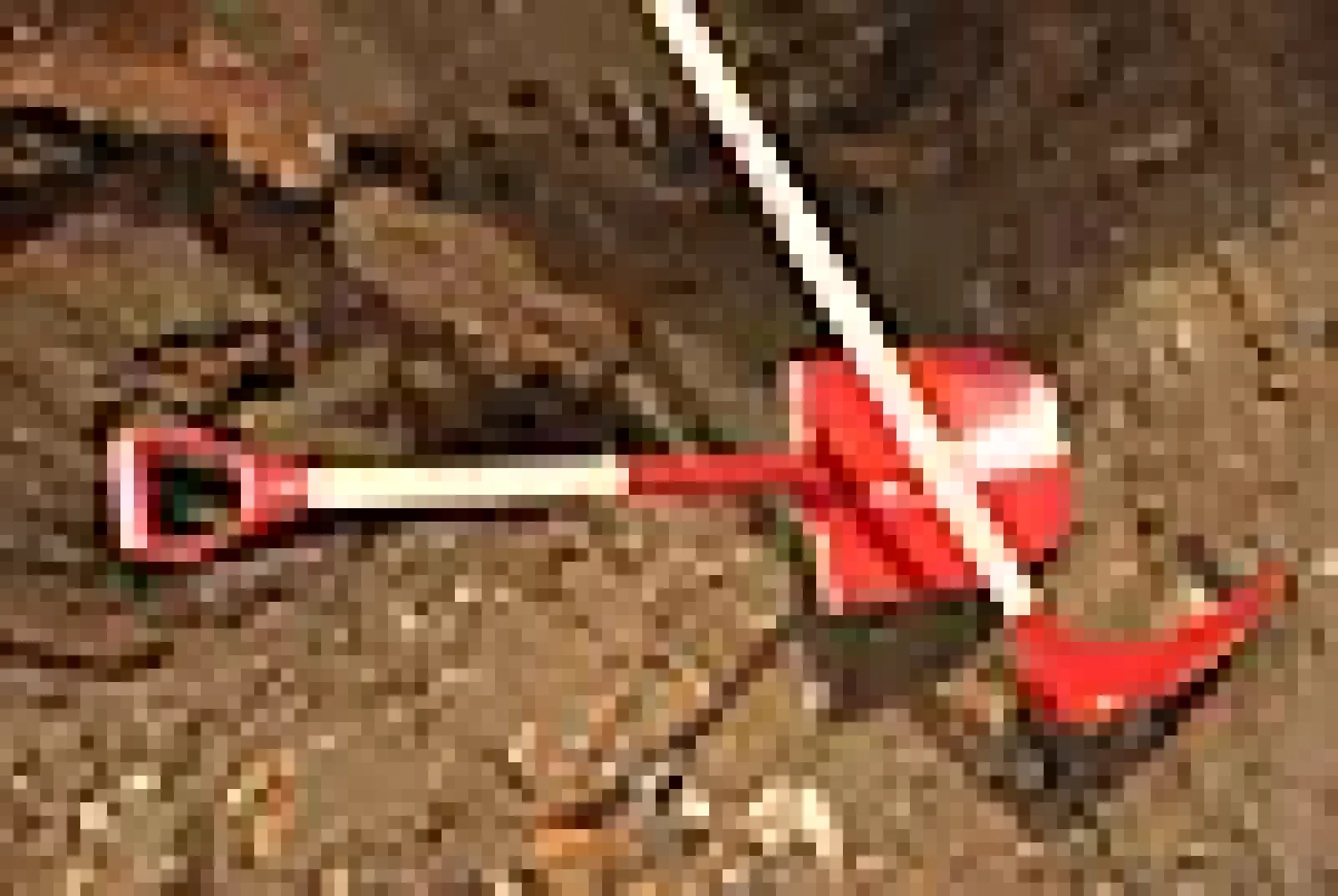Anleggsspade Classic-Fiskars Discount