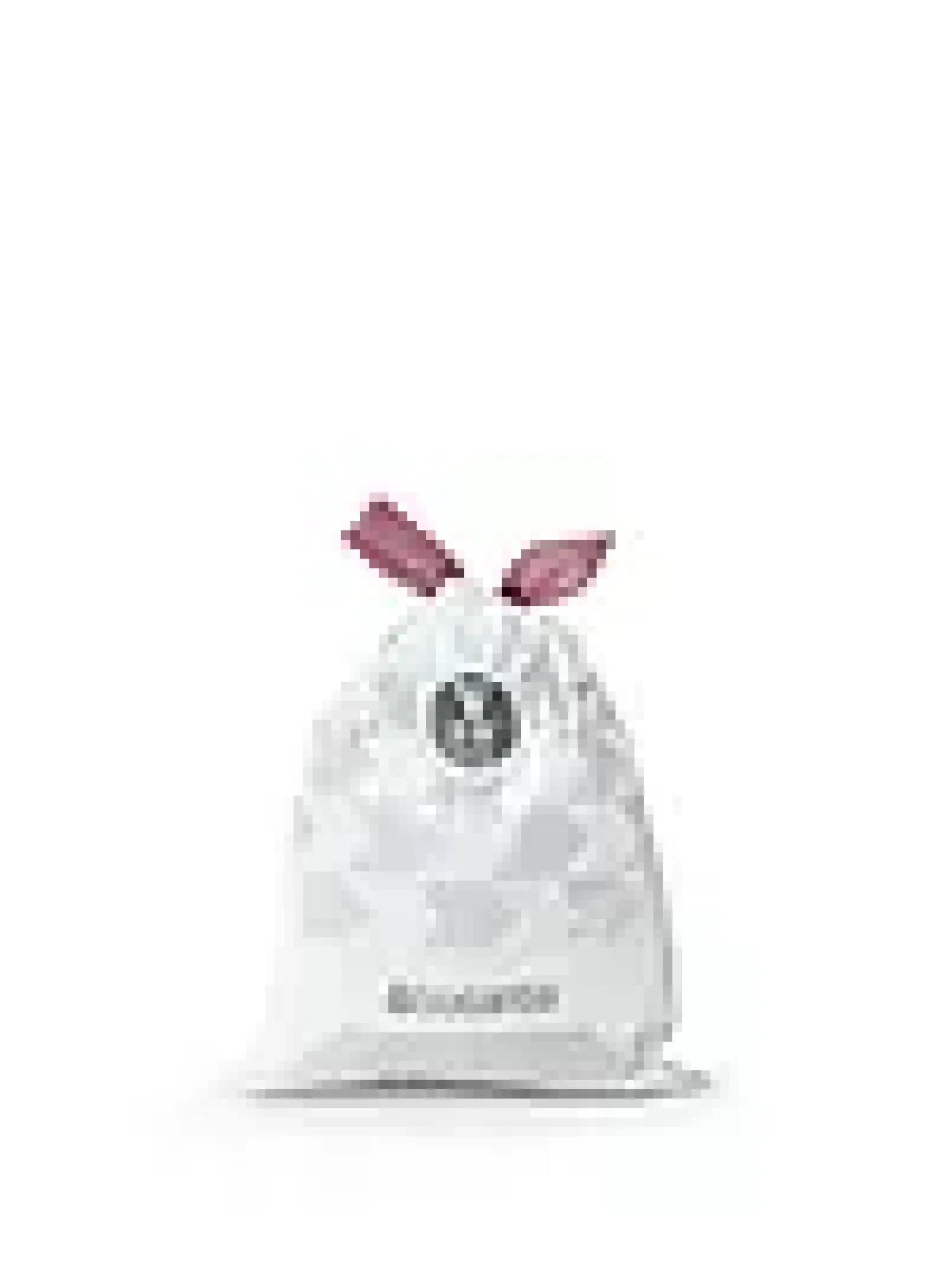 Avfallspose 2-3l PerfectFit 20stk V-Brabantia Clearance