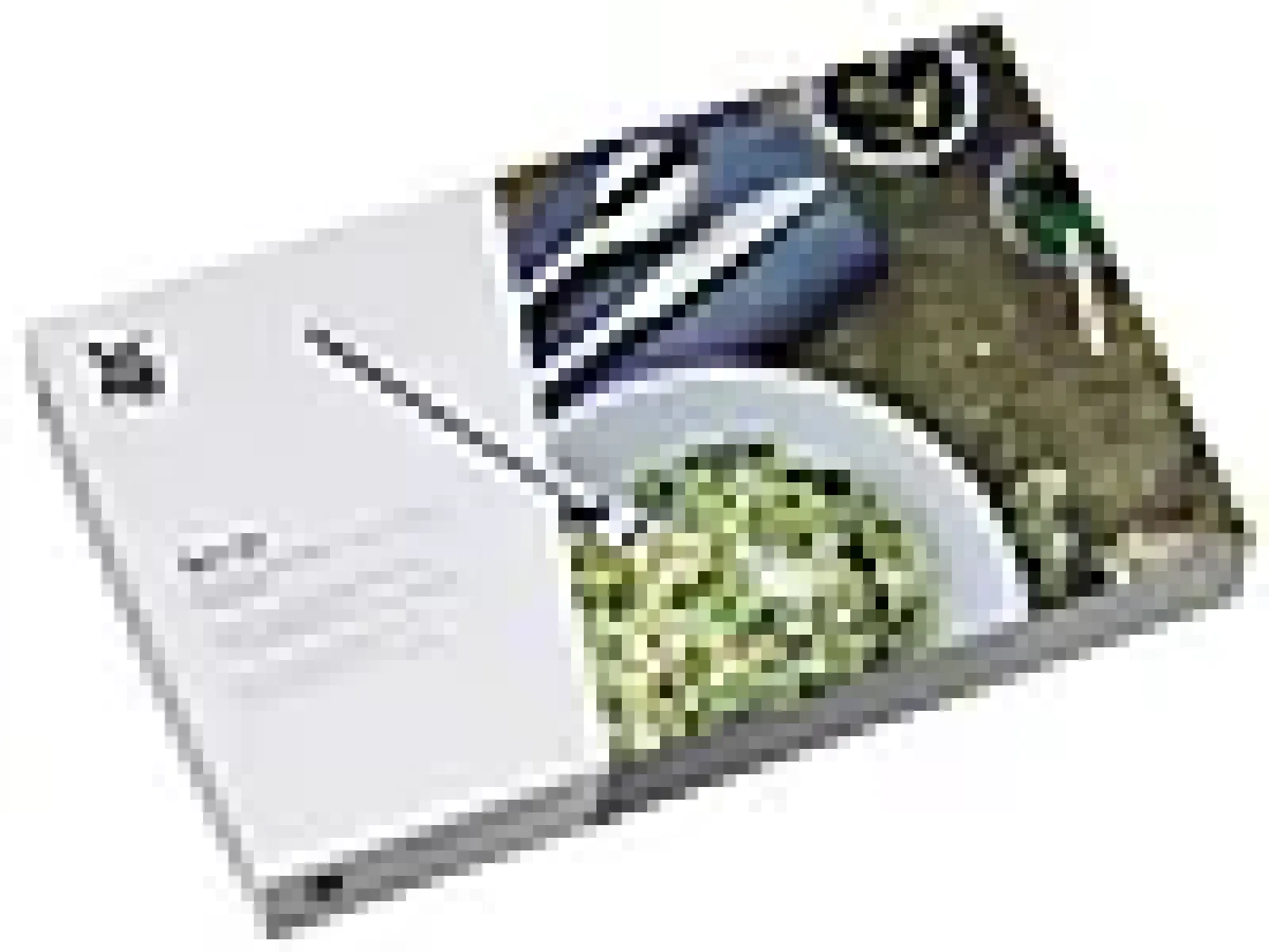 Bestikksett Philadelphia matt 24 deler-Wmf Online
