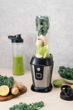 Blender BL5002GO-Wilfa Online