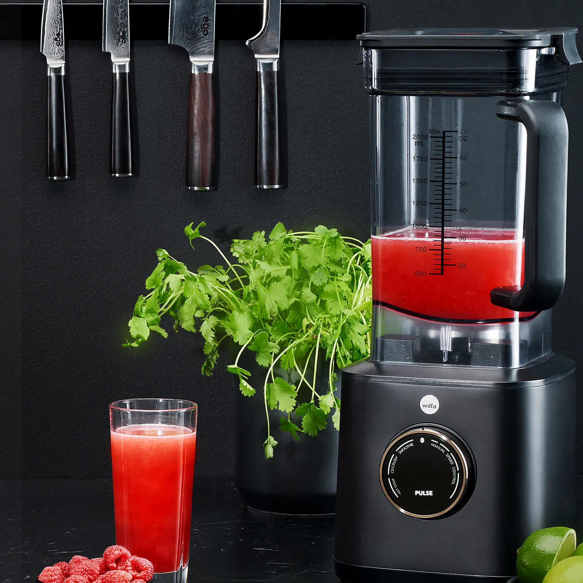 Blender Powerfuel PB1B-P2000-Wilfa