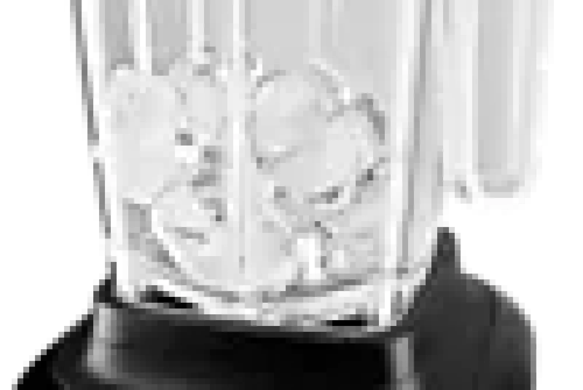 Blender-Kitchenaid Discount