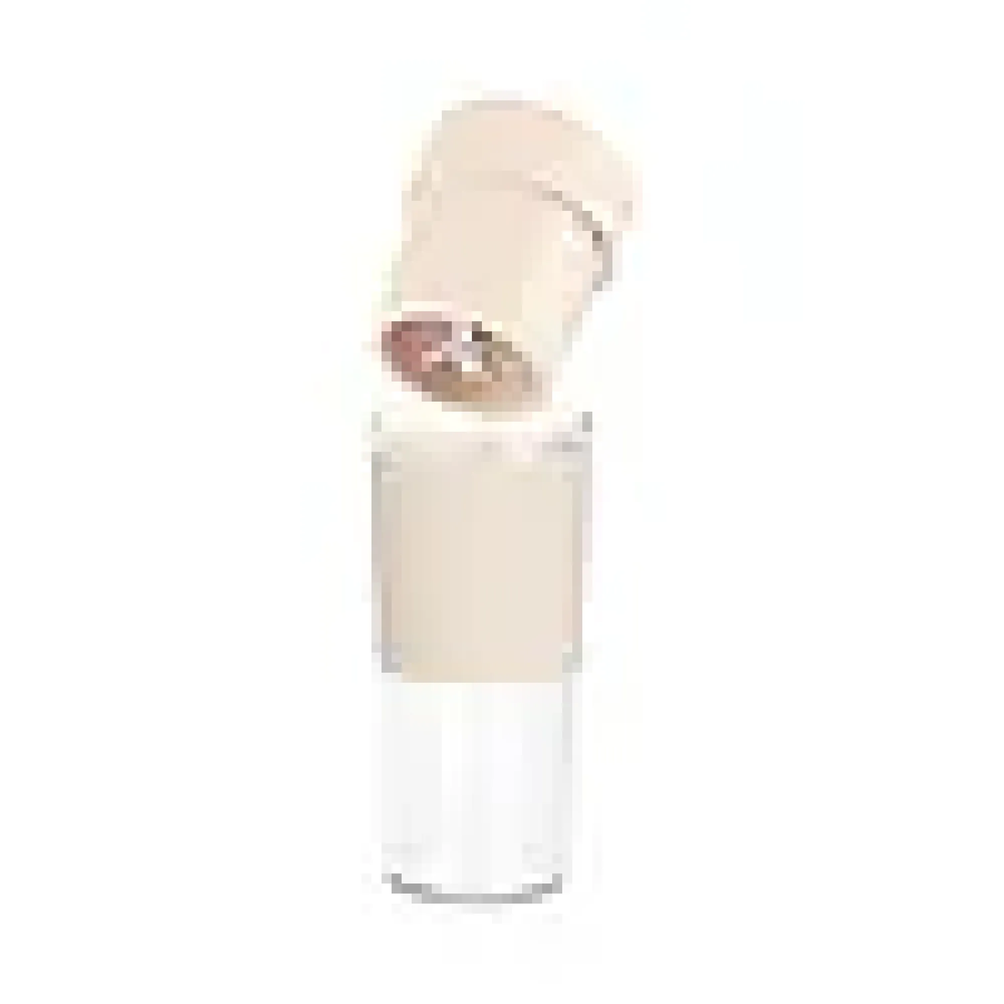 Blender swift 300ml-Wilfa Best