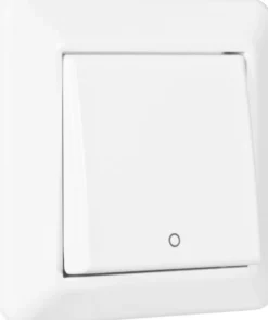 Bryter innfelt Elko RS 2Pol- Online