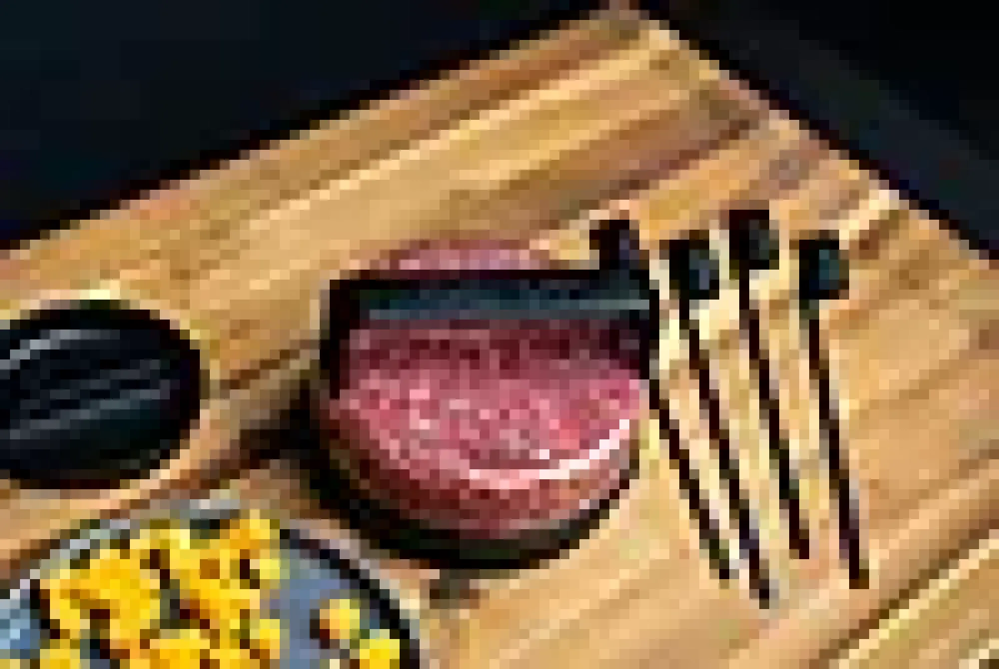 Burgerpresse og 4 grilspyd sett-Enders Clearance