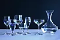 Champagneglass Perfection 23cl-Holmegaard Best