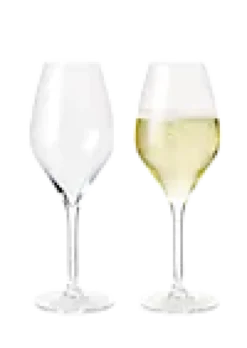 Champagneglass Premium 37cl 2stk-Rosendahl Best