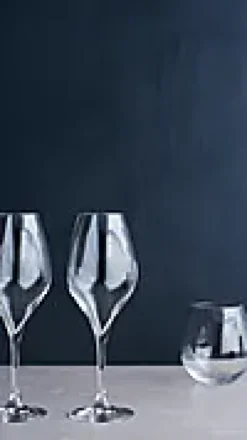 Champagneglass Premium 37cl 2stk-Rosendahl Best