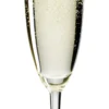 Champagneglass Vinum Champagne 16cl 2stk-Riedel New