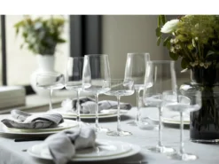 Champagneskål Zero 26cl 4stk-Lyngby glas Discount