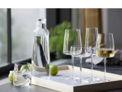 Champagneskål Zero 26cl 4stk-Lyngby glas Discount