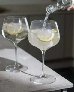 Chardonnay- / Gin Tonicglass 2stk-Riedel Hot