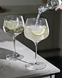 Chardonnay- / Gin Tonicglass 2stk-Riedel Hot