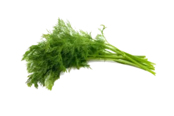 Dill frø-Auk Best