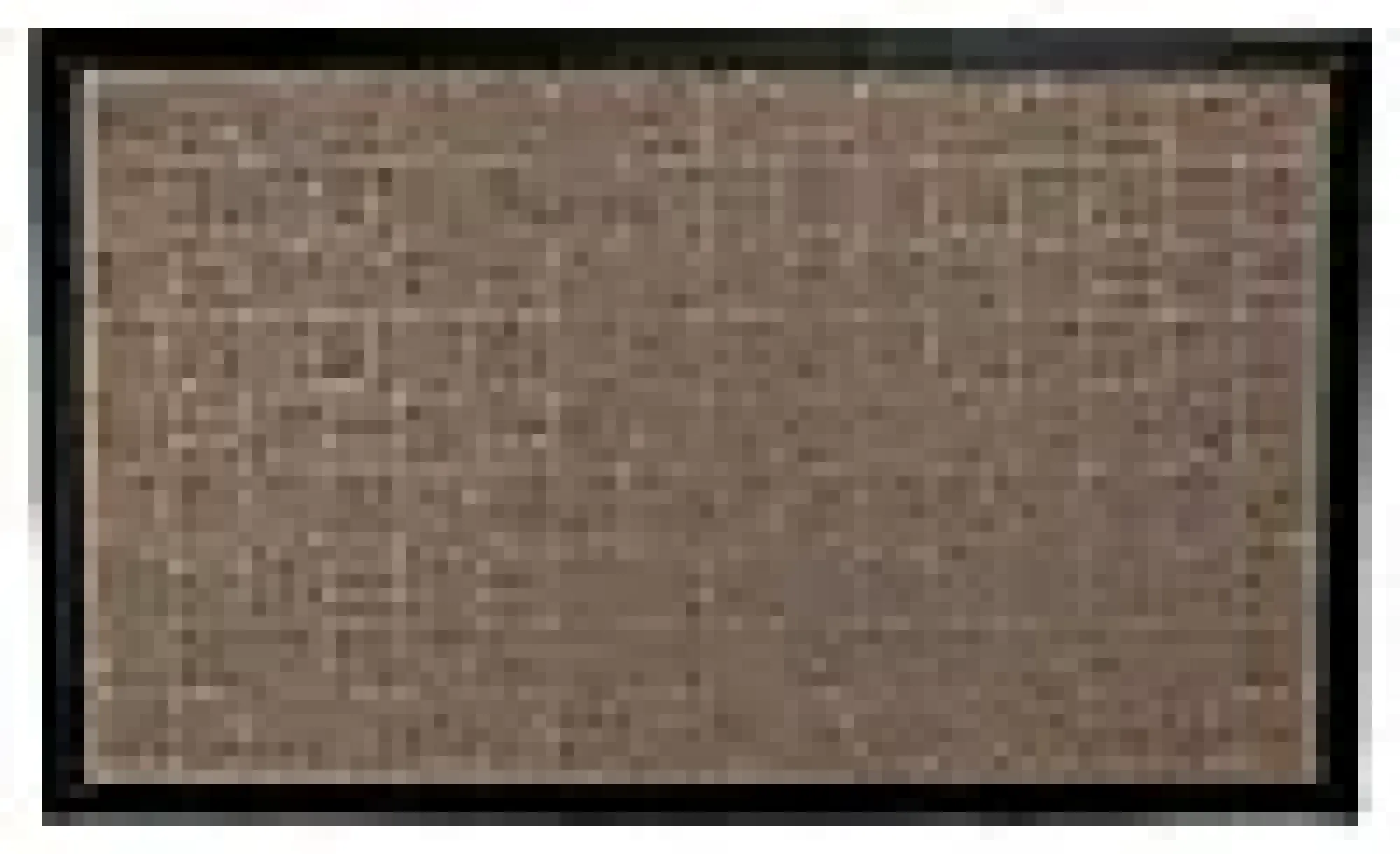 Dørmatte Robust beige 45x75cm- Sale
