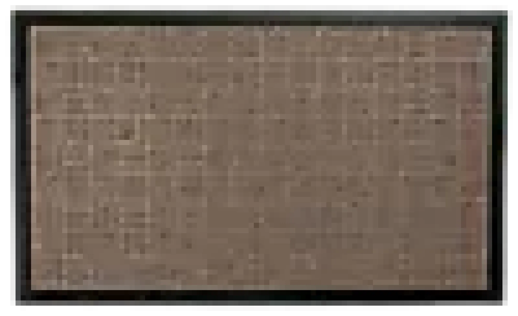 Dørmatte Robust beige 60x90cm- Online