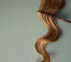 EC By Multistyler AirLush 9-i-1-Wilfa Discount