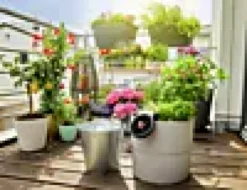 Ferie og balkongvanningssett Aquabloom-Gardena Hot