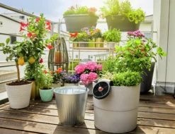 Ferie og balkongvanningssett Aquabloom-Gardena Hot