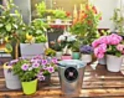 Ferie og balkongvanningssett Aquabloom-Gardena Hot