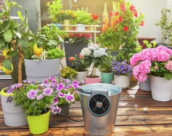 Ferie og balkongvanningssett Aquabloom-Gardena Hot