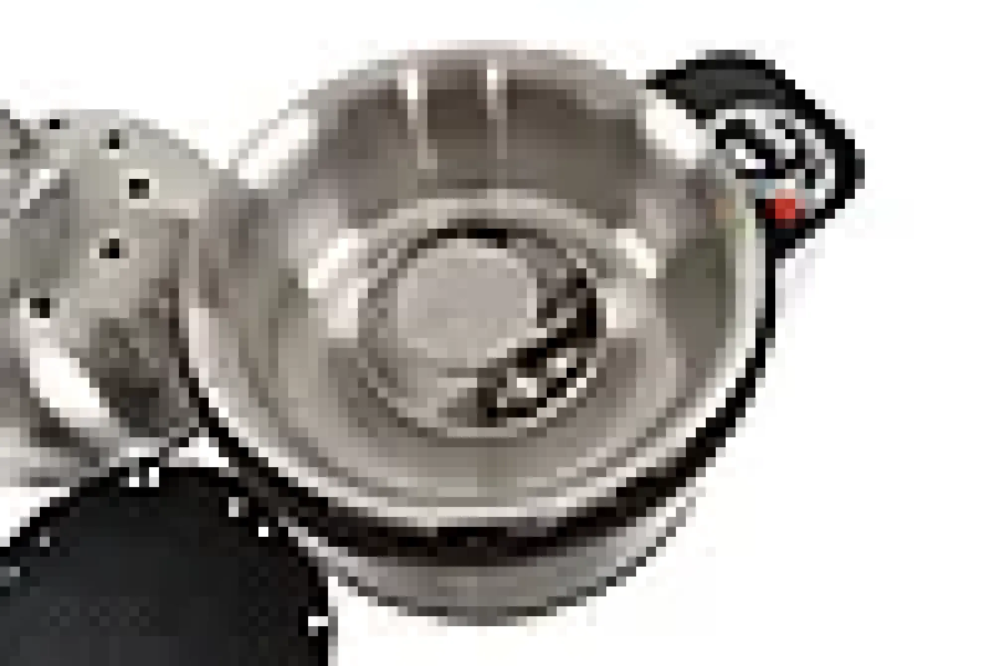 Gassgrill Premier Deluxe-Cobb