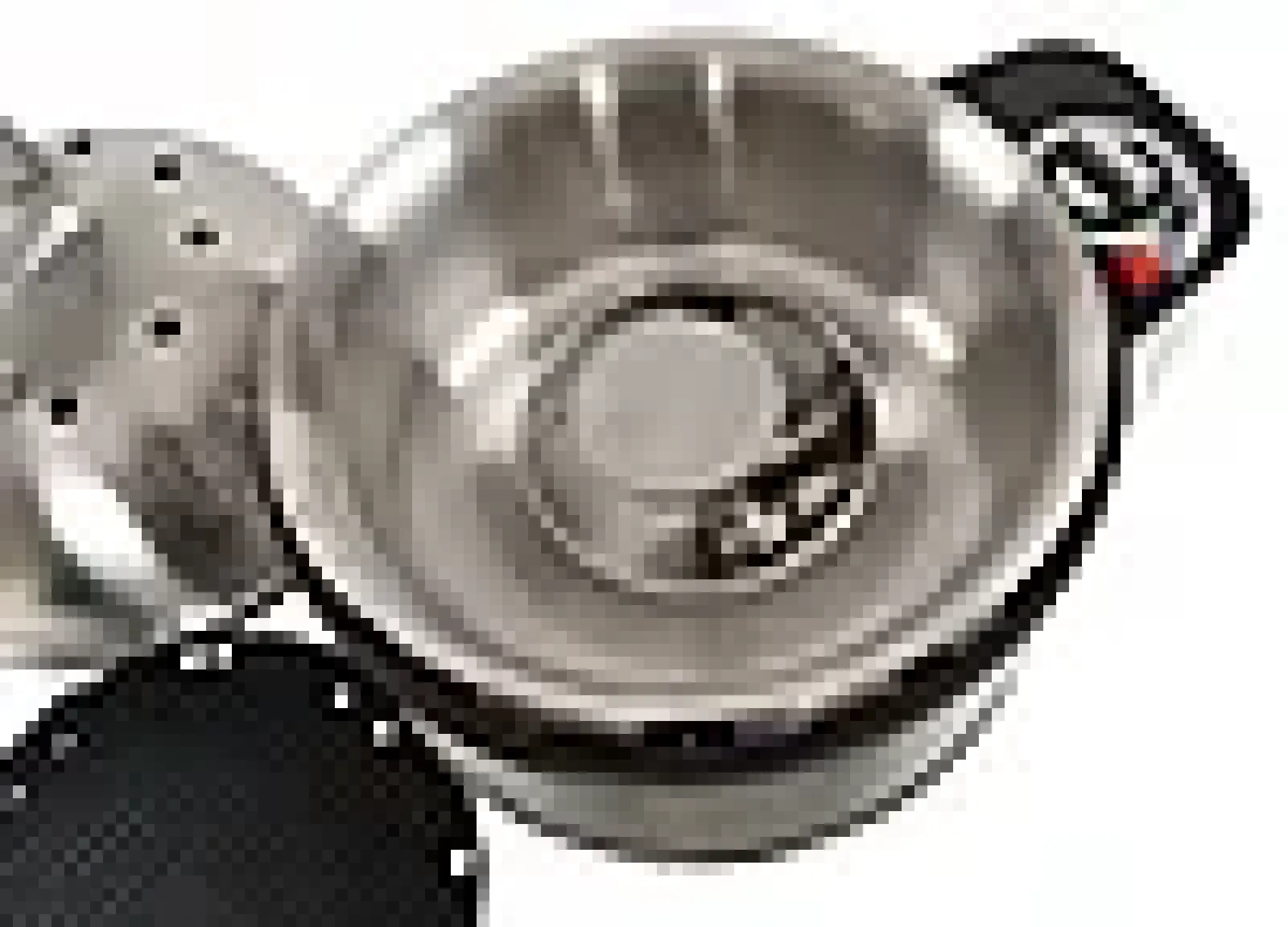 Gassgrill Premier Deluxe-Cobb