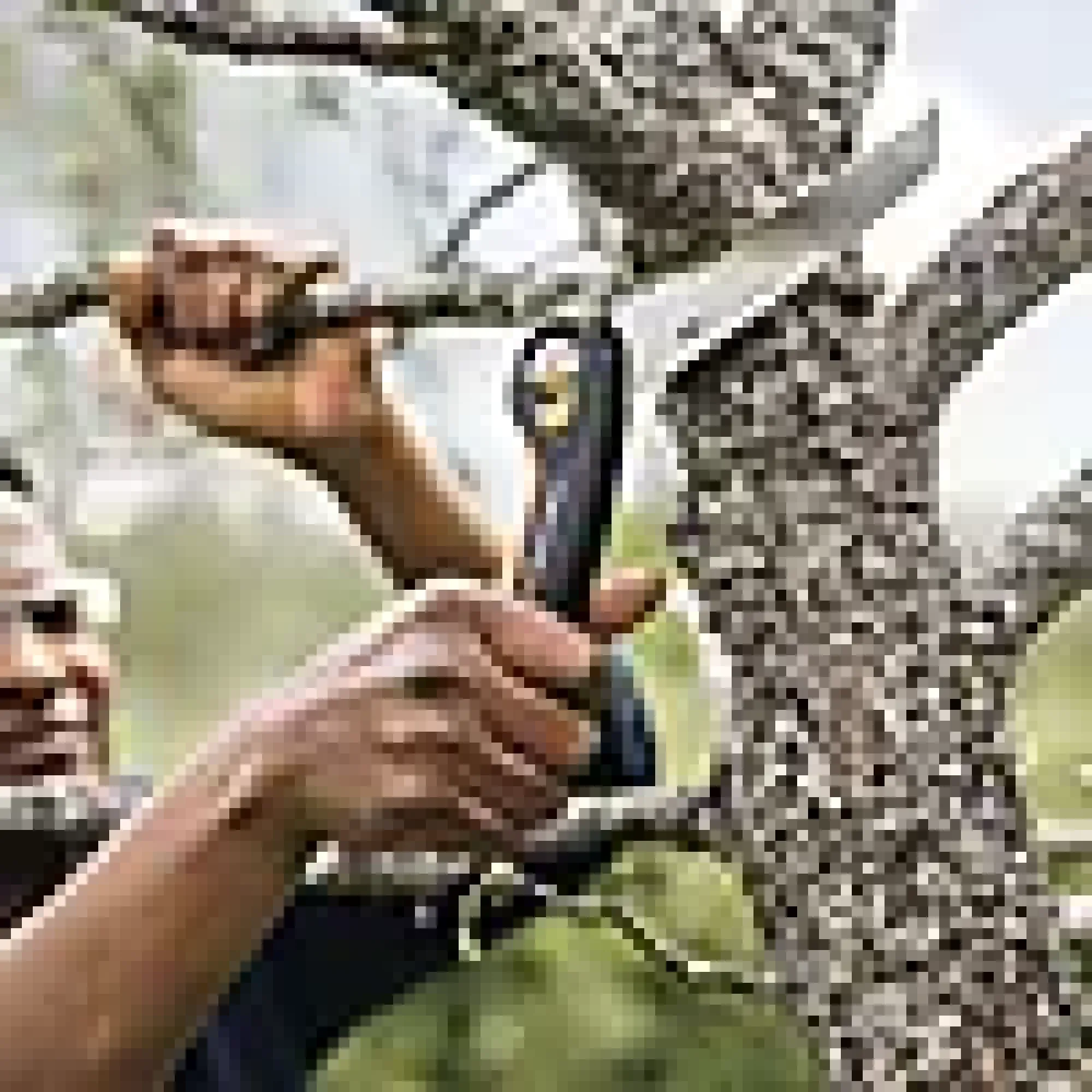 Grensag foldbar Plus L SW69-Fiskars Clearance