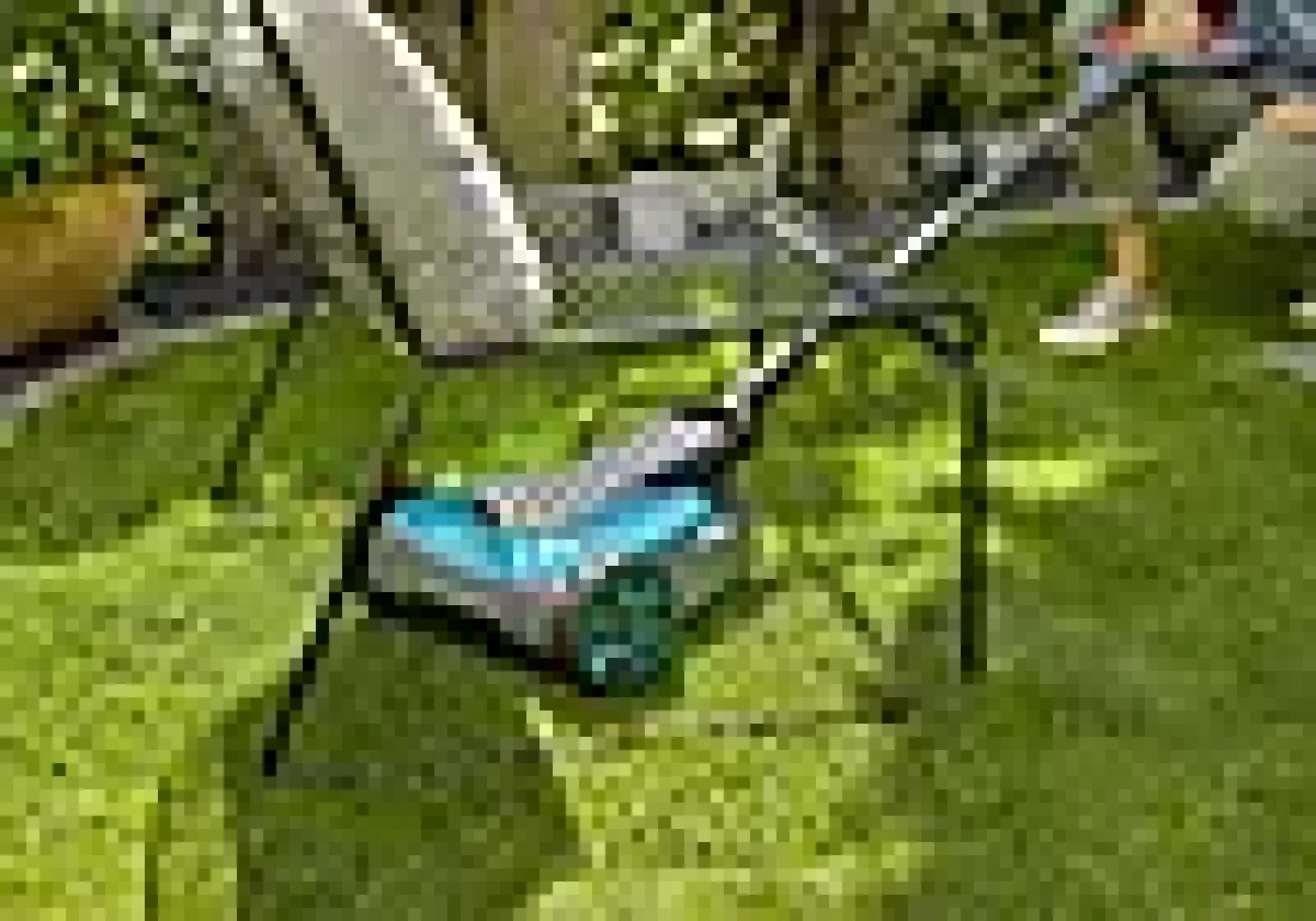 Gressklipper HandyMower 22/18v-Gardena New