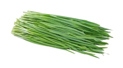 Gressløk frø-Auk