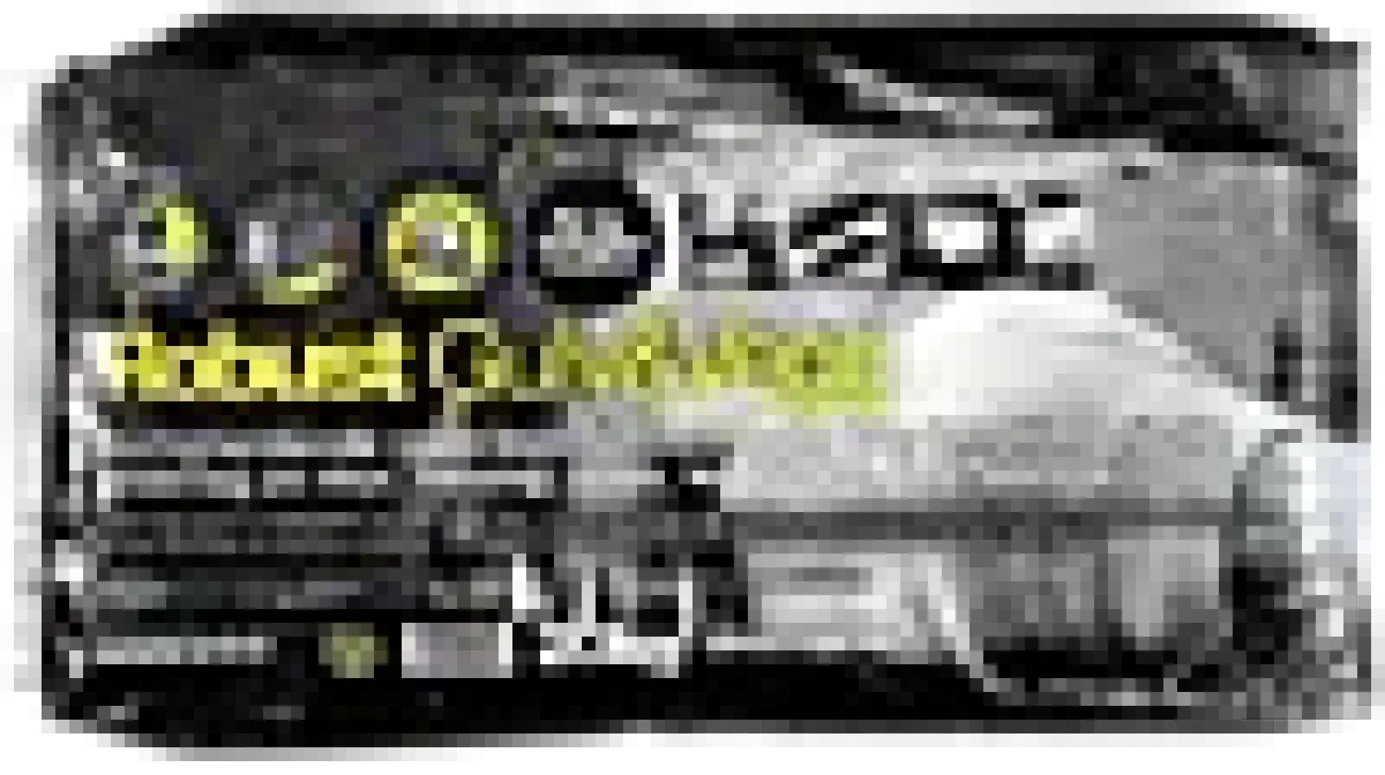 Gulv&Vegg 20kg-Robust New