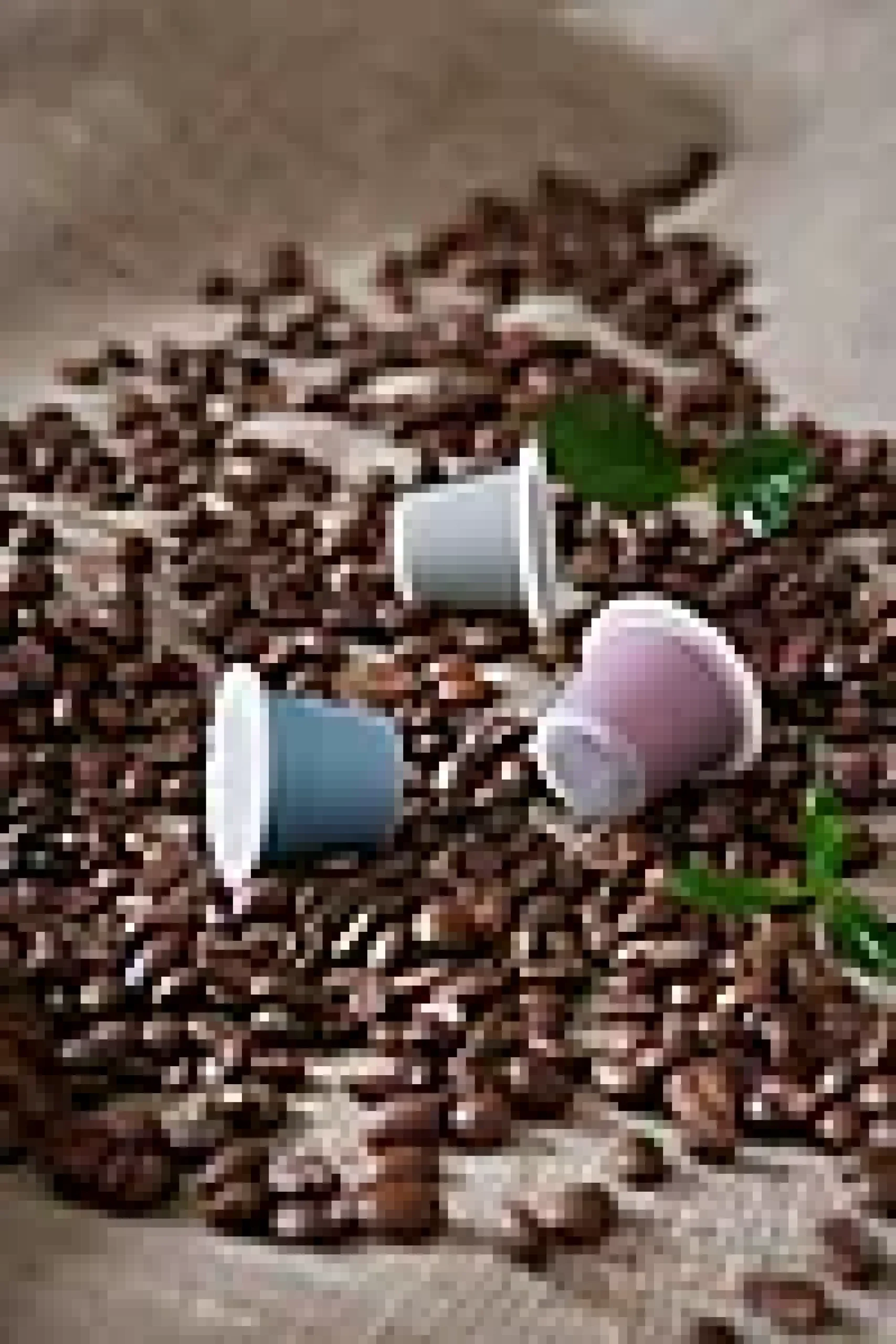 Kaffekapsler Morgen Løiten- New