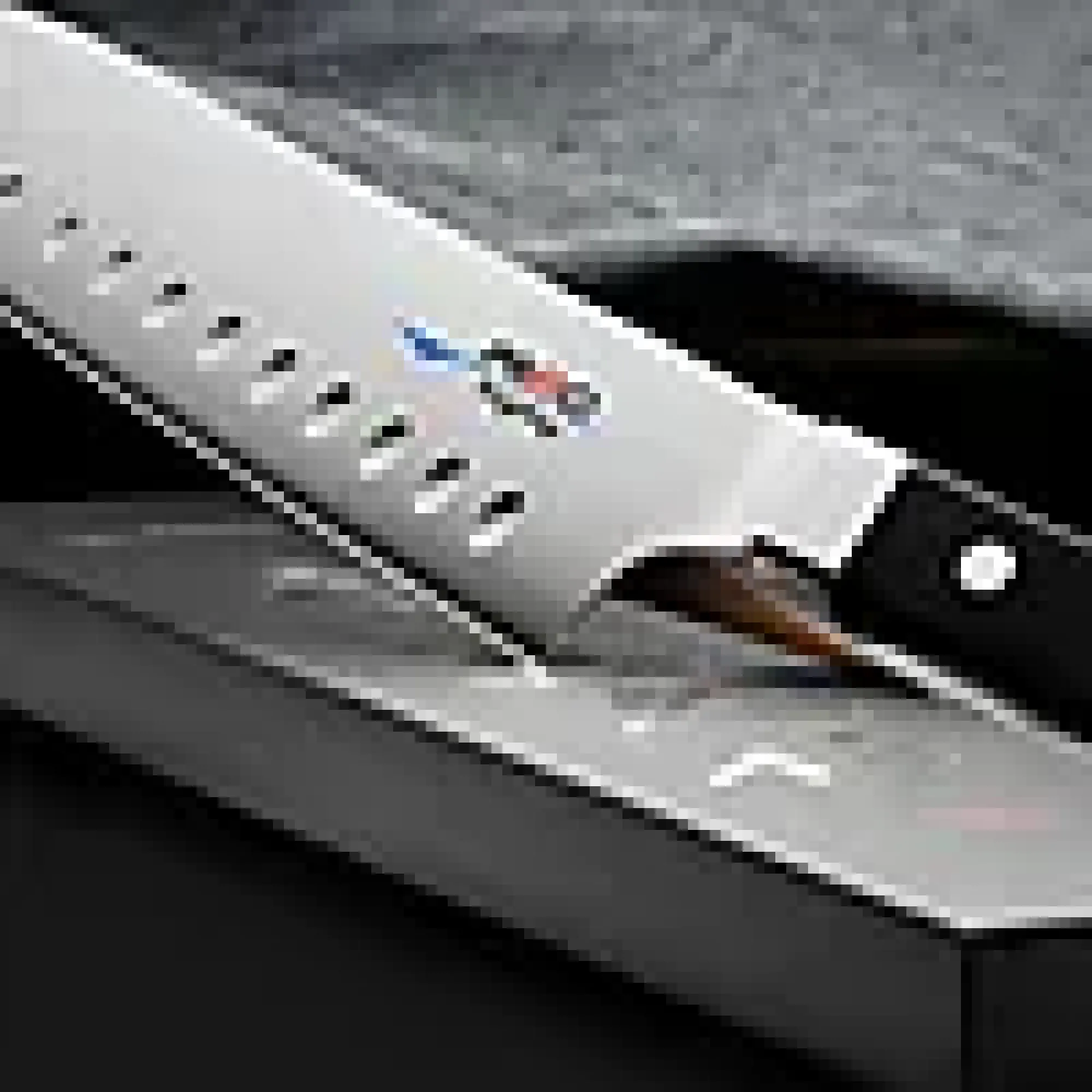 Kokkekniv/Santoku/smidd MSK-65-Mac