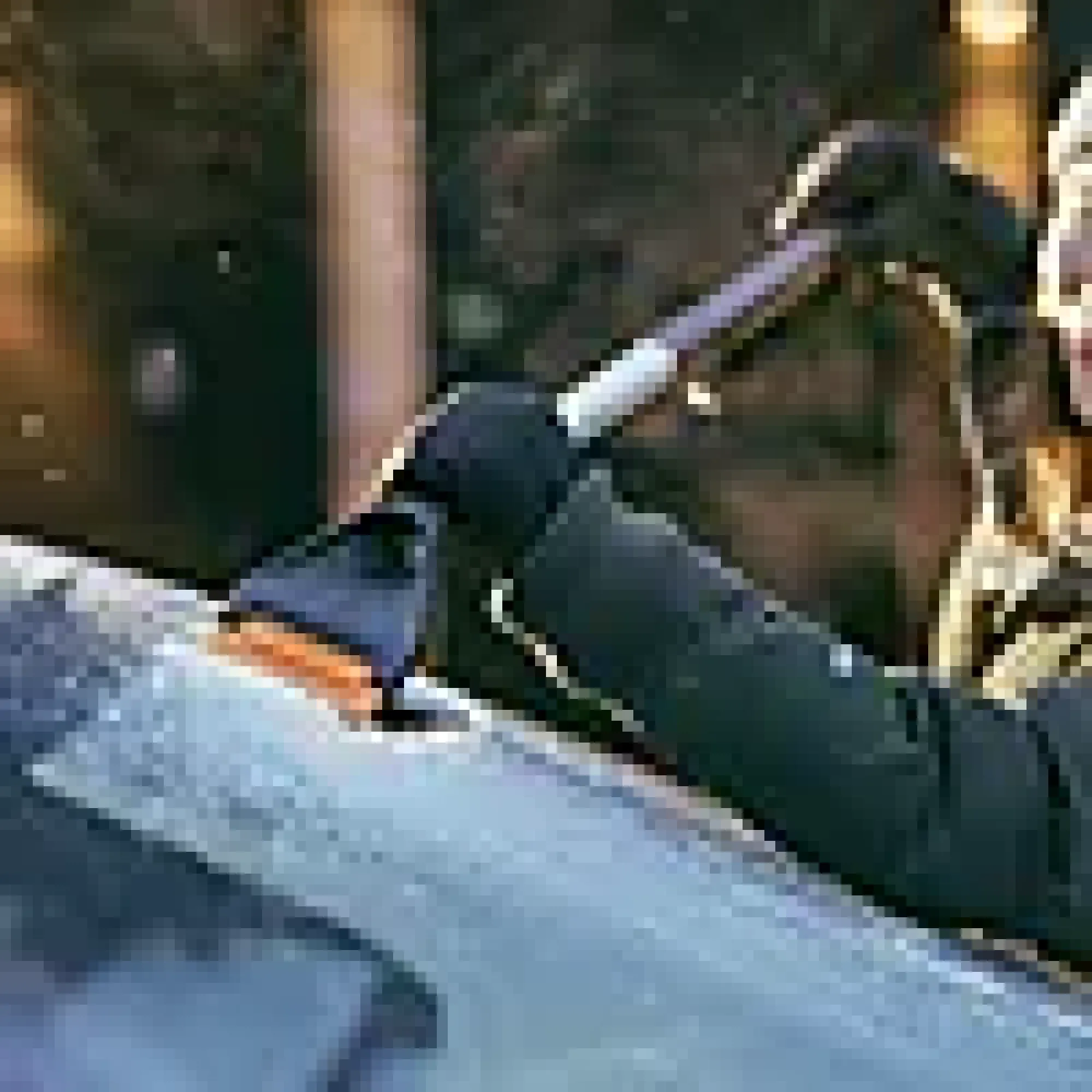 Kost & isskrape lang Plus-Fiskars New