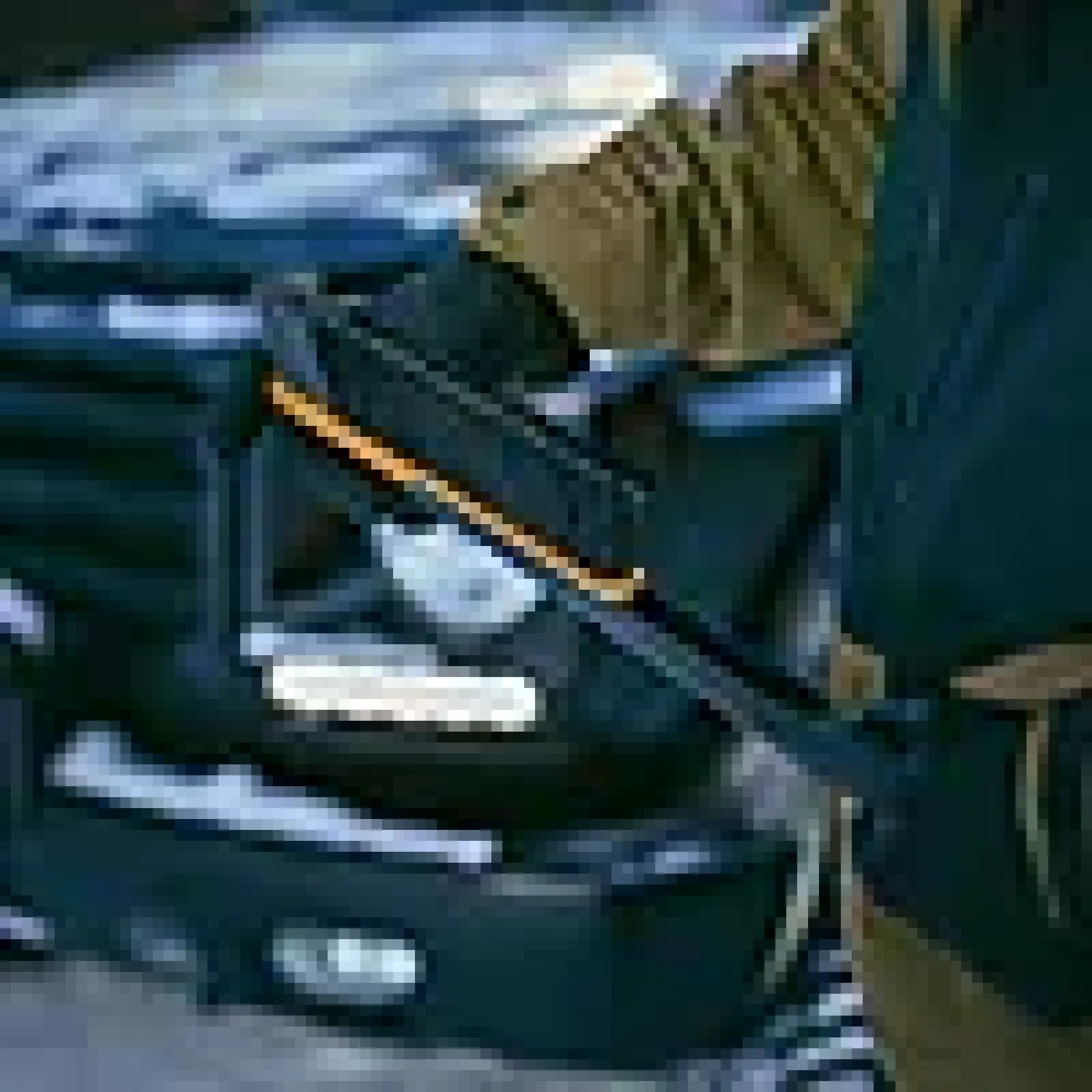 Kost & isskrape lang Plus-Fiskars New