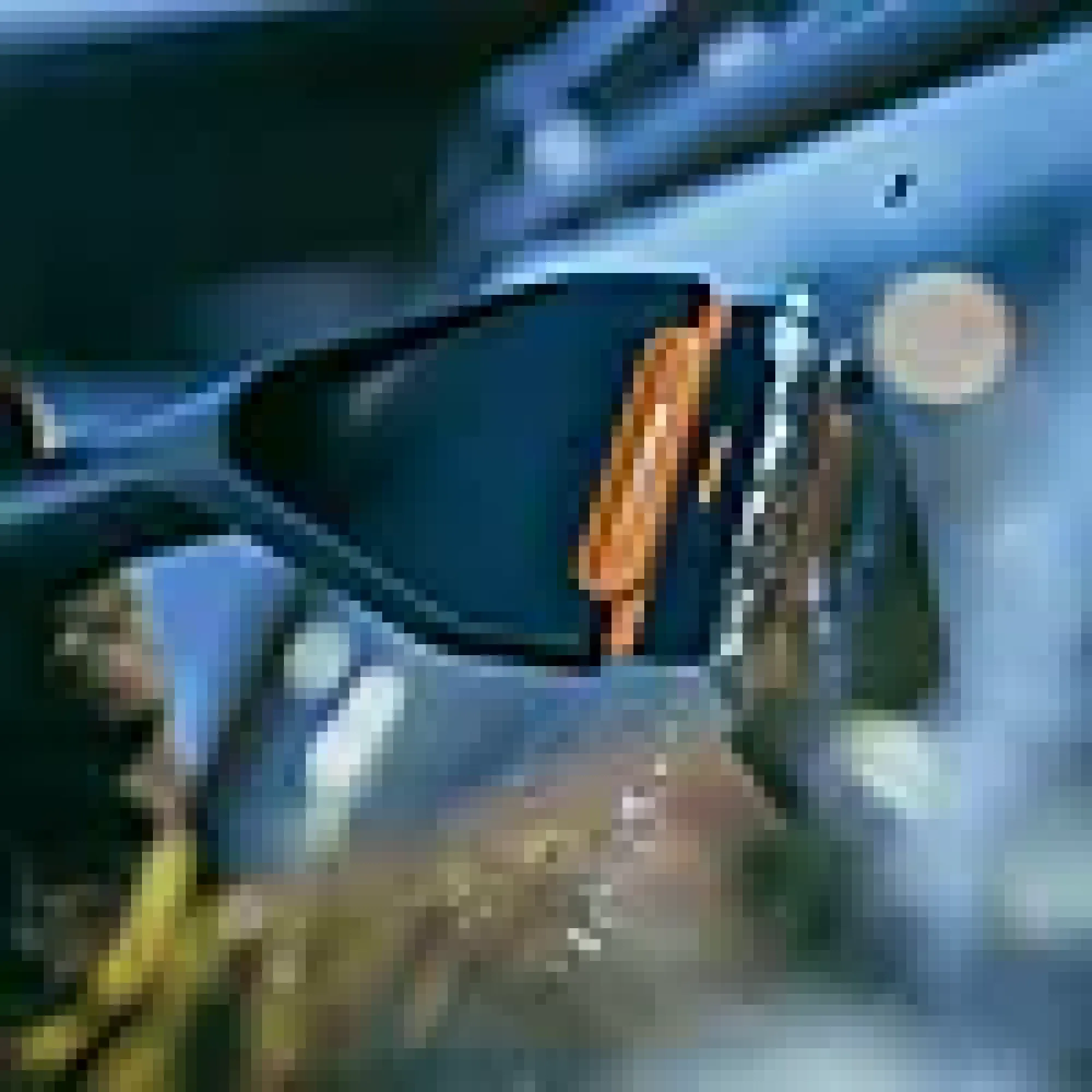 Kost & Isskrape teleskop m/roterende hode X-series-Fiskars Outlet