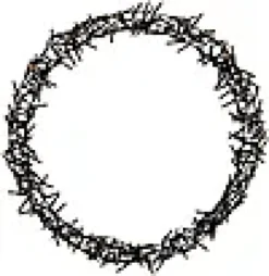 Lysring 400ledlys 48cm varmhvit-Ki New