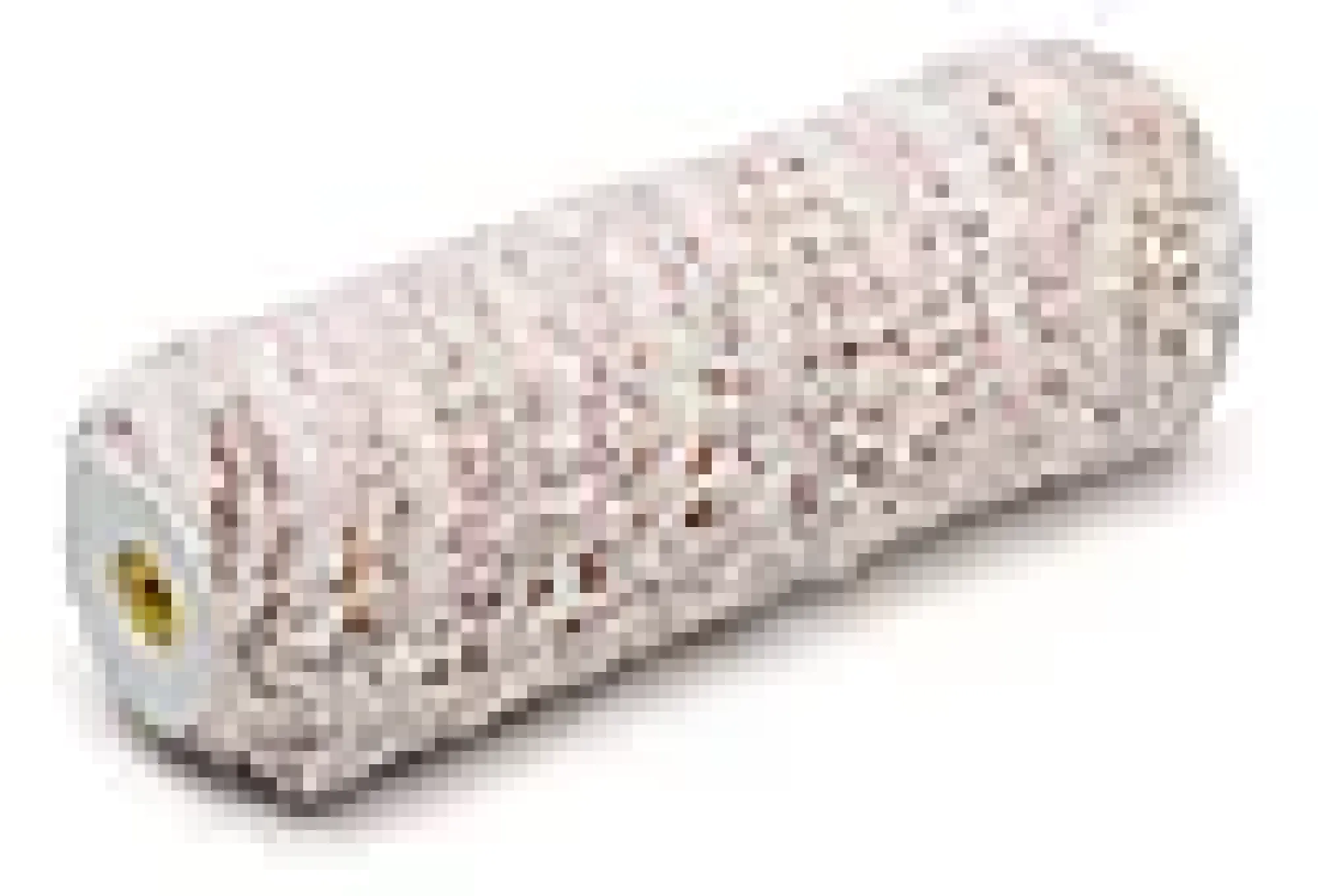Malerull Wistex stikk 25cm-Håndverk jordan Hot