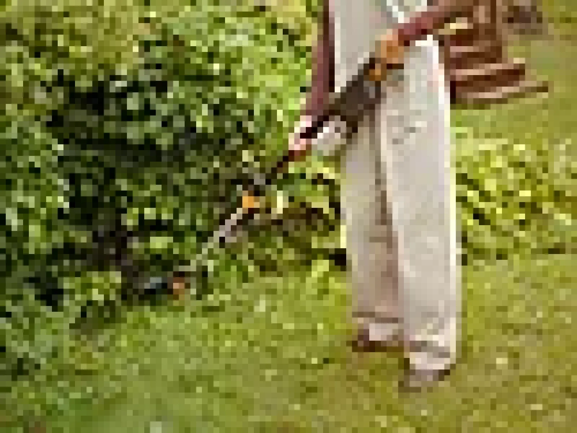 Multikutter Epruner M-Fiskars Hot