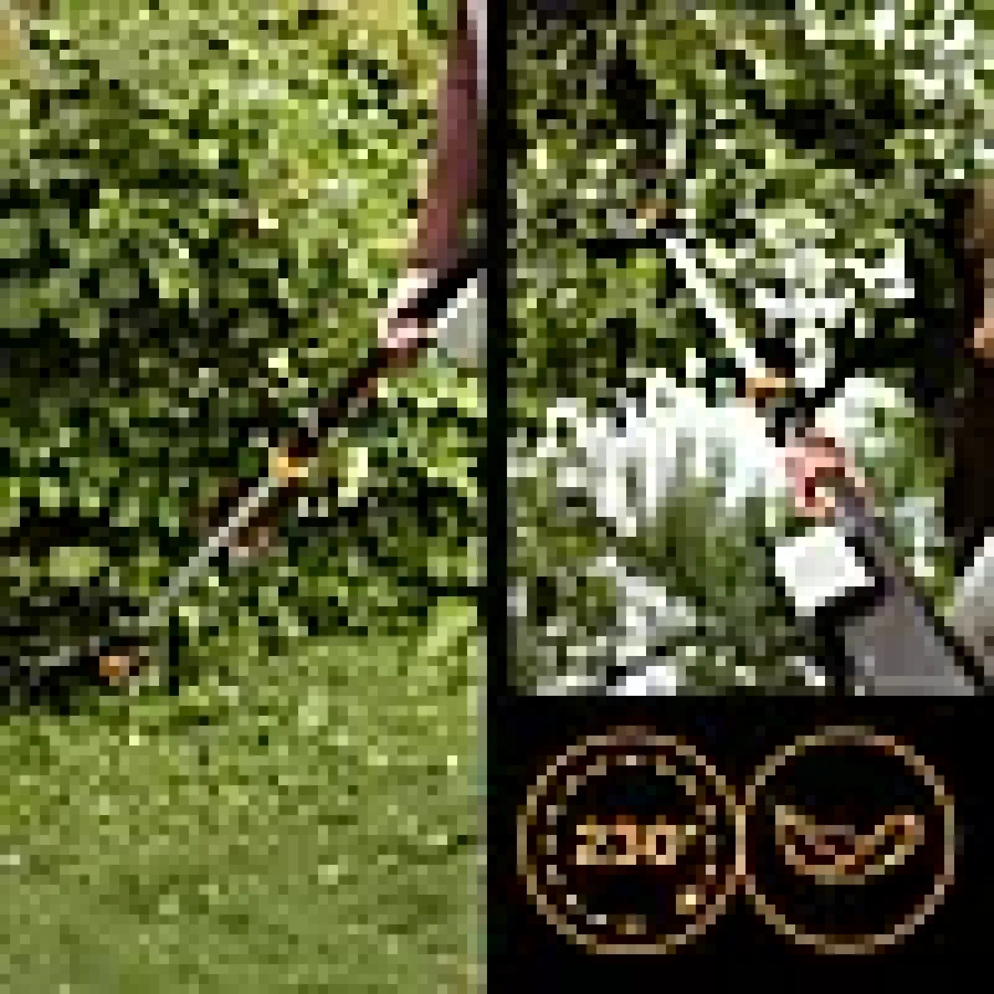Multikutter Epruner M-Fiskars Hot