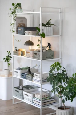 Oppbevaringsboks L-Smartstore