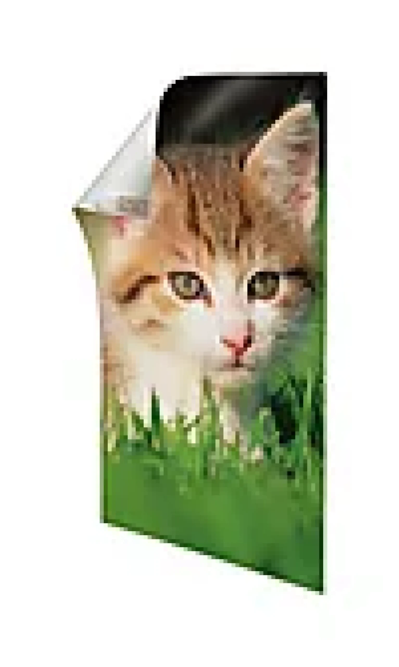Plakatstrips 12 strips-Command Best