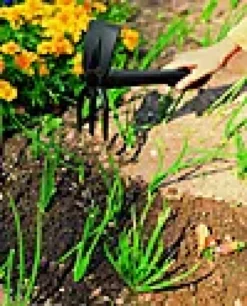 Plantehakke-Fiskars New