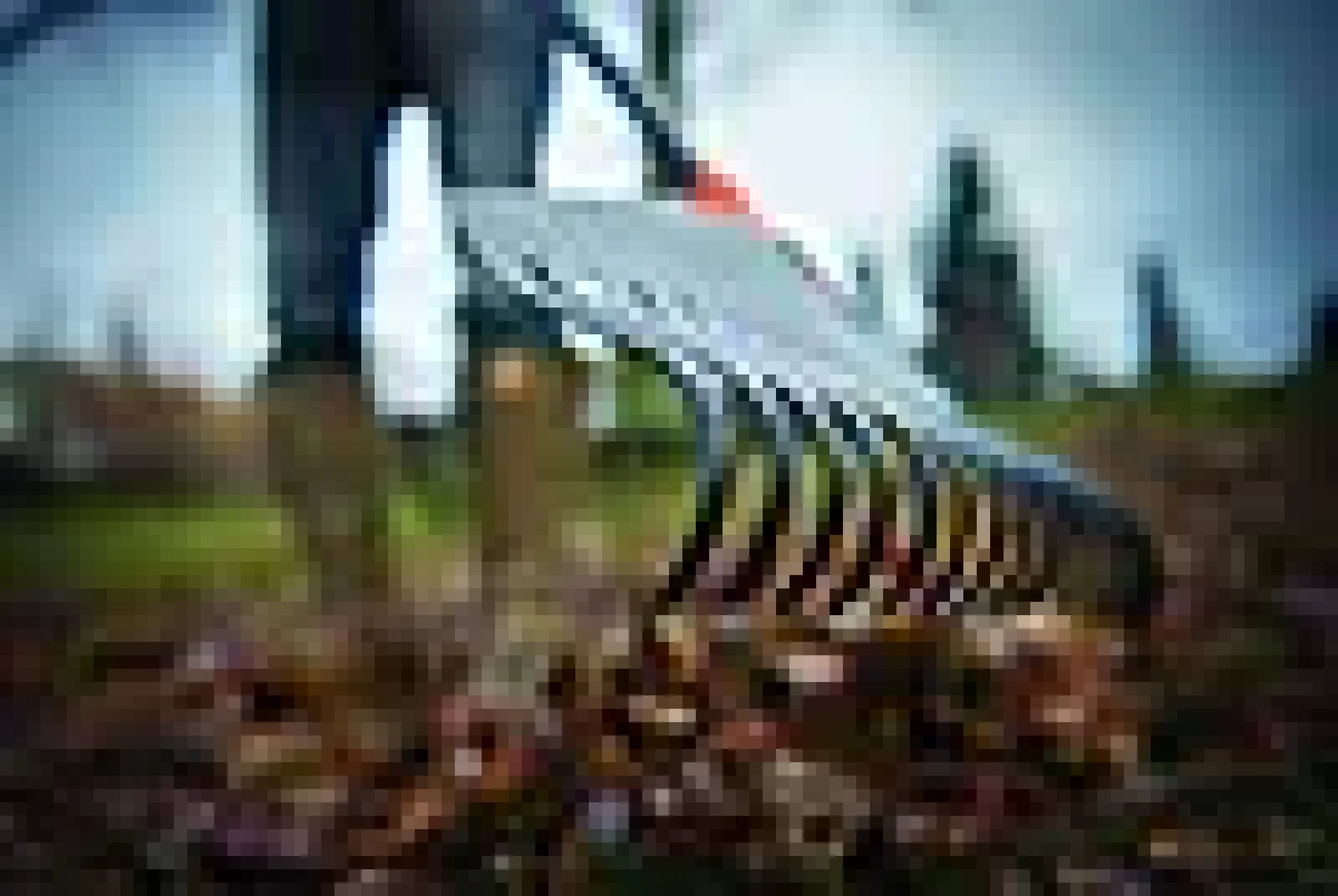 Plenrive large Solid-Fiskars Best