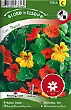 Porsjonsfrø blomkarse tom thum-Nelson garden Hot