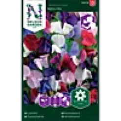 Porsjonsfrø blomsterert bijou lav-Nelson garden New