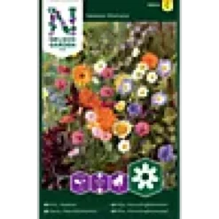 Porsjonsfrø honningblomster-Nelson garden Hot