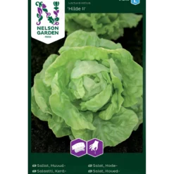 Porsjonsfrø salat hode- hilde-Nelson garden Best