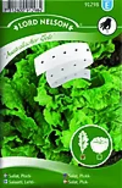 Porsjonsfrø salat plukk-Nelson garden New